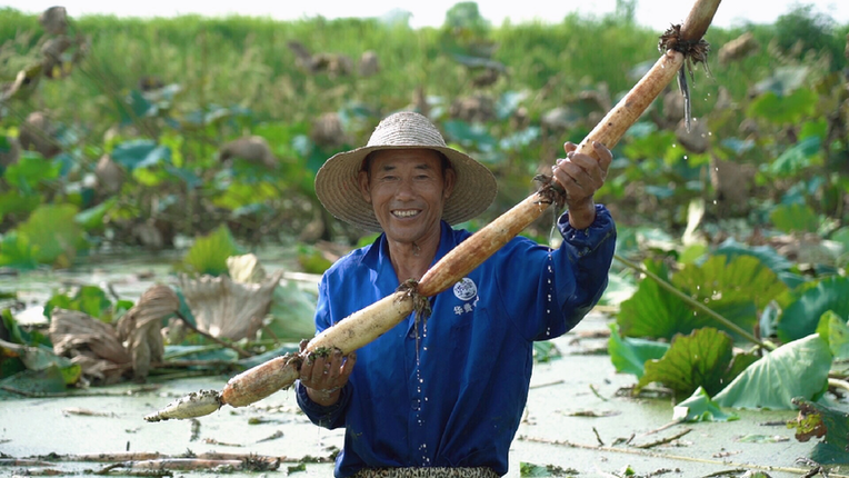 中國農(nóng)產(chǎn)品地域品牌價值發(fā)布 淘寶天貓助力農(nóng)貨上行