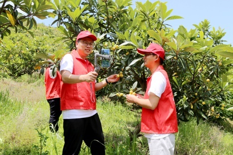 浙江省舟山市普陀區(qū)煙草專賣局：靠前一步 主動擔當 畫好“香溢”幫扶“同心圓”