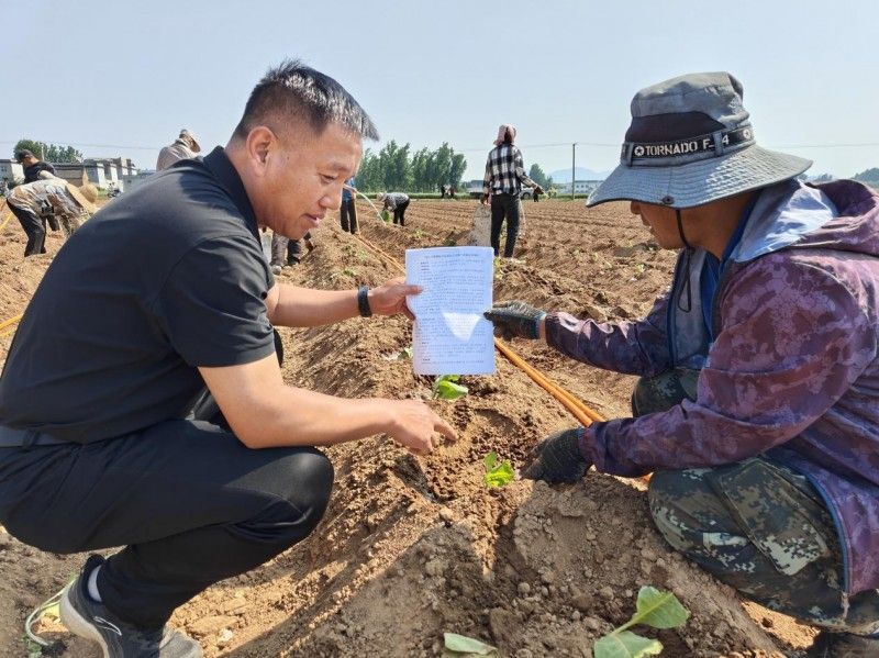 河南省平頂山市魯山縣：幫煙苗“寶寶”搬家