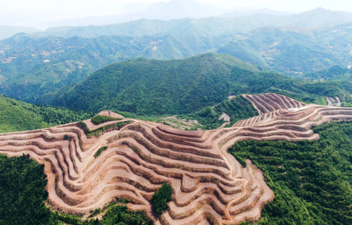 河南澠池：“90”后小伙給山地插上機(jī)械化“翅膀”