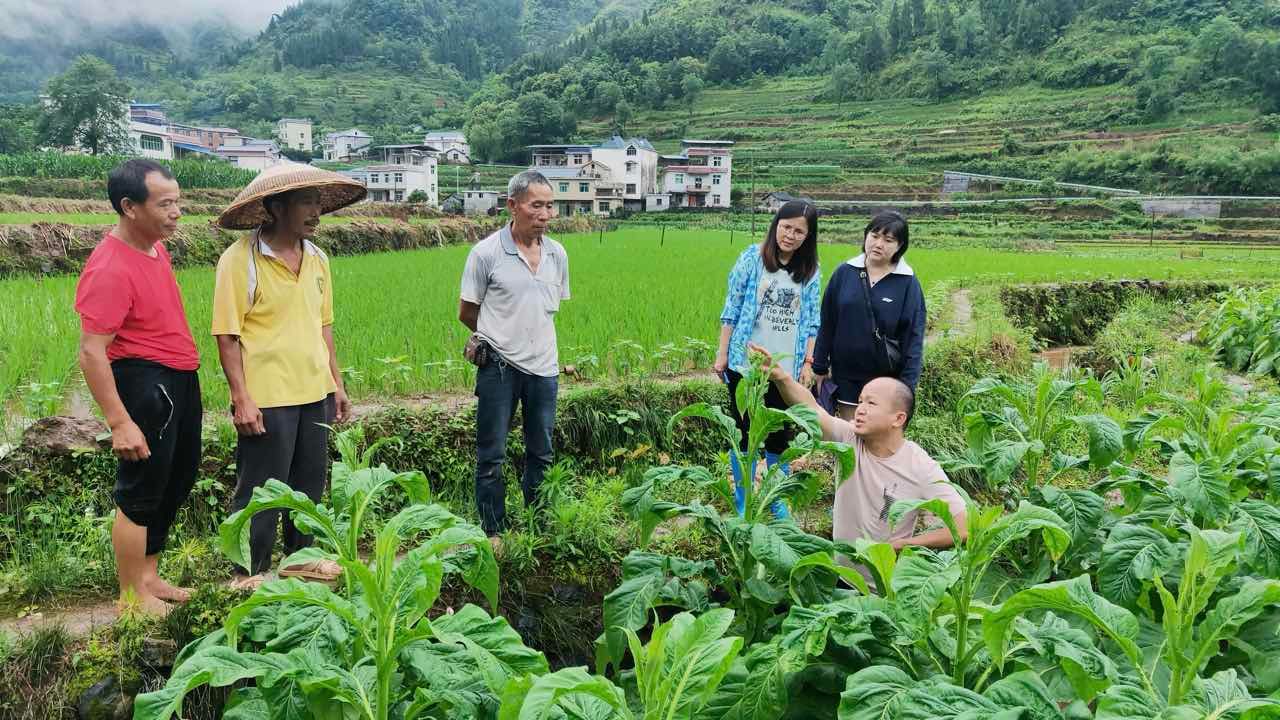 湘西瀘溪縣局：綠葉間映初心，風(fēng)雨中守誓言——記浦市煙站副站長(zhǎng)劉學(xué)勇