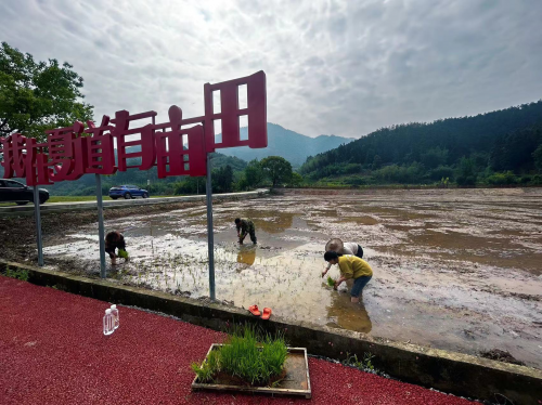 福建延平：她用愛心譜寫出動人樂章