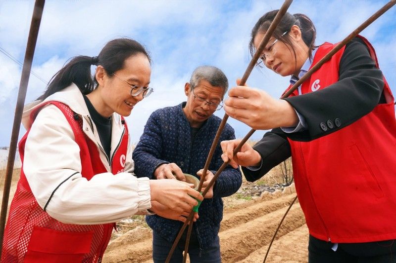 山東濰坊昌邑?zé)煵荩呵啻簣?zhí)筆  繪就志愿服務(wù)色彩