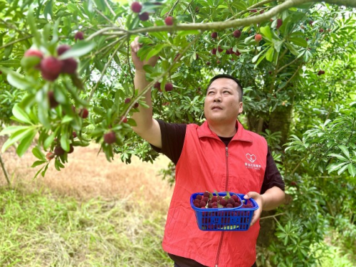 浙江蘭溪：“小產(chǎn)業(yè)”助力共富大事業(yè)