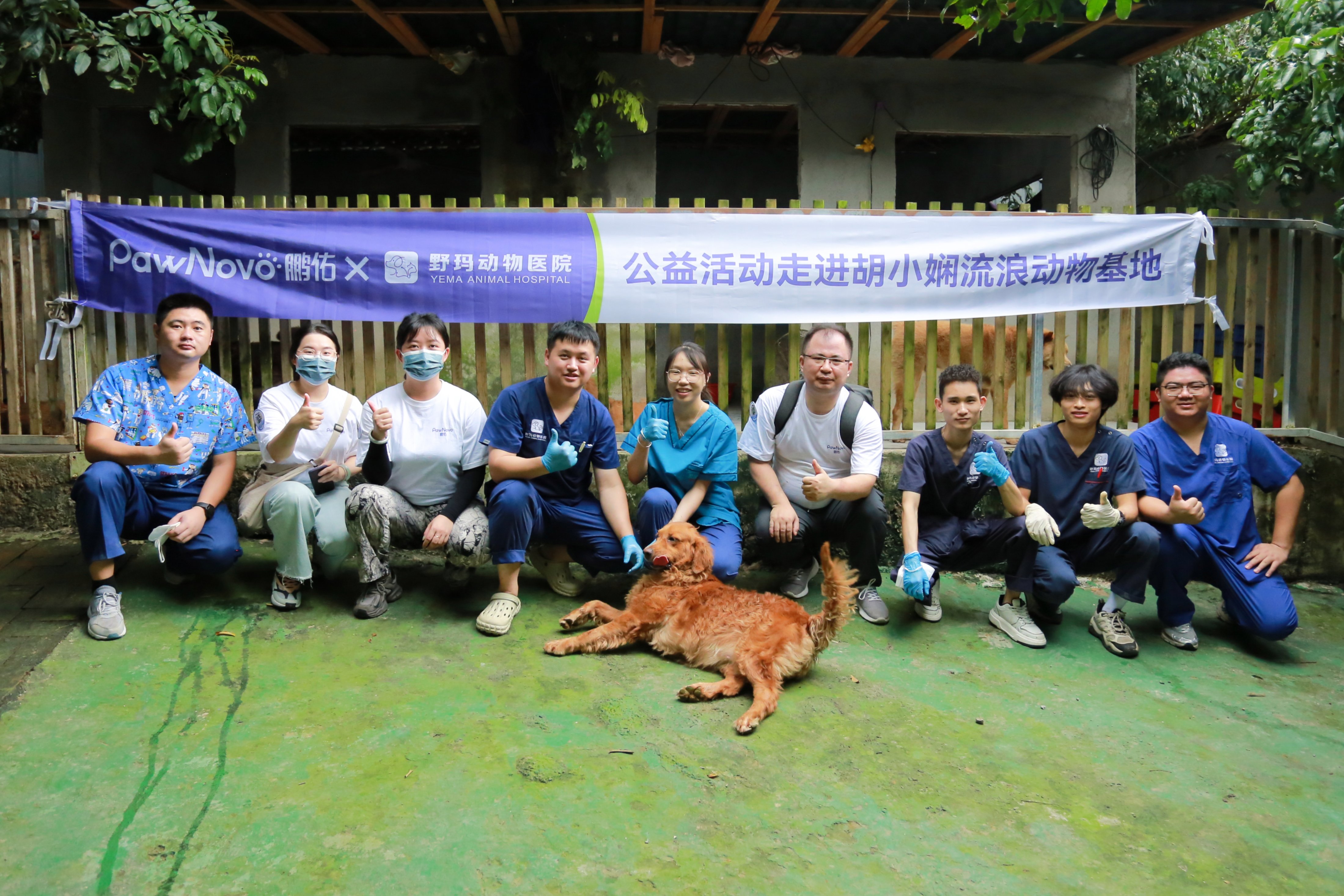 鵬佑生物攜手野瑪動物醫(yī)院，再掀流浪動物關愛行動高潮！