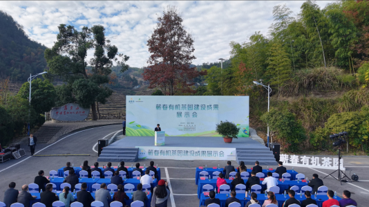 繁榮茶產(chǎn)業(yè)生態(tài)推廣有機(jī)茶品牌 蘄春召開(kāi)有機(jī)茶園建設(shè)成果展示會(huì)