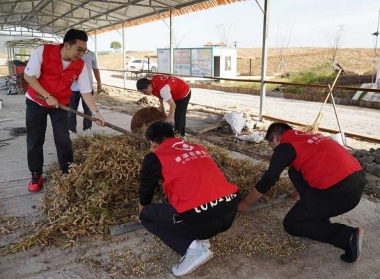 寧波市北侖區(qū)煙草專賣局：香溢志愿助農(nóng)忙　情暖鄉(xiāng)村促振興